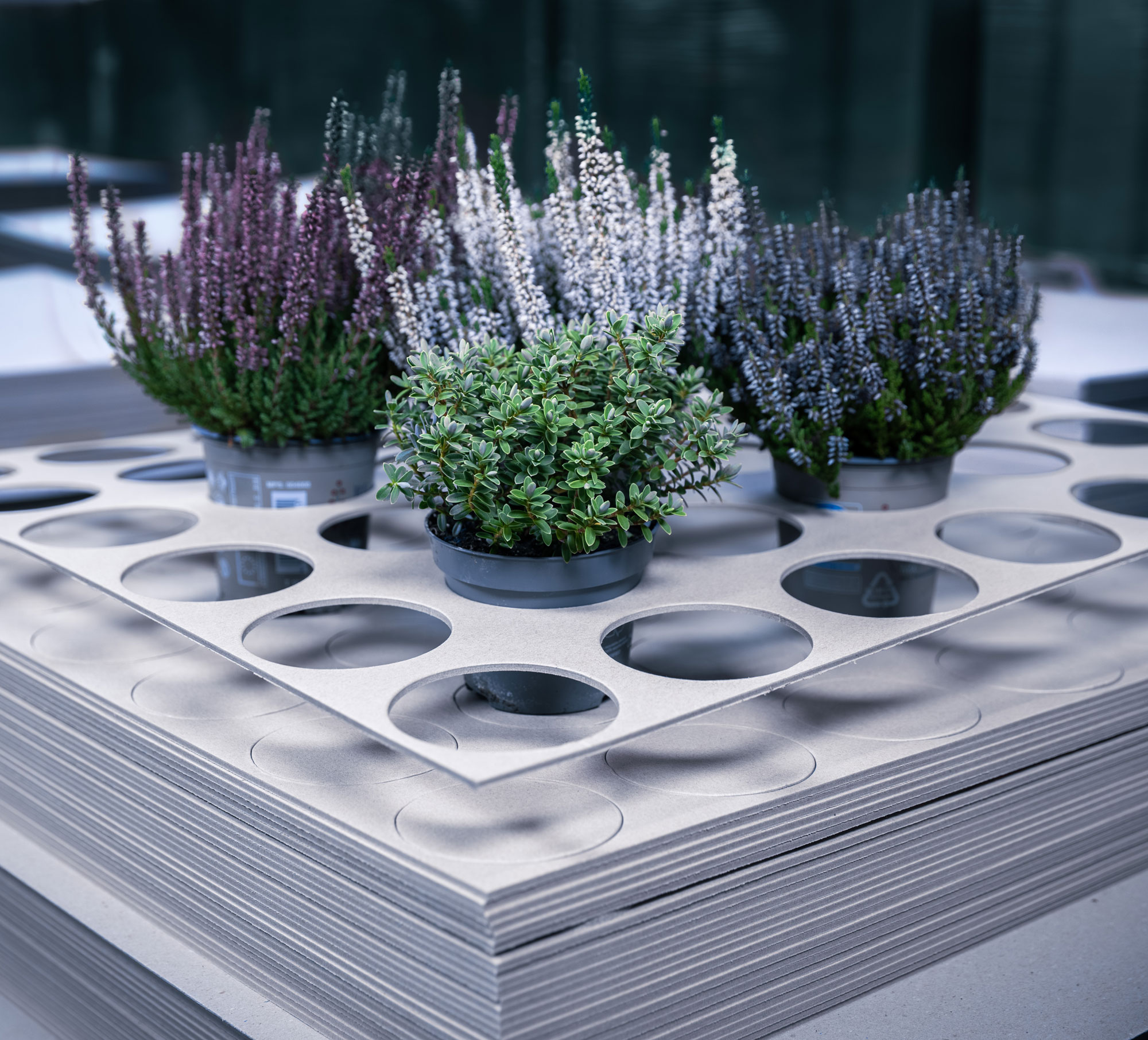 Pappenfabrik_Nierfeld_2025_#5008