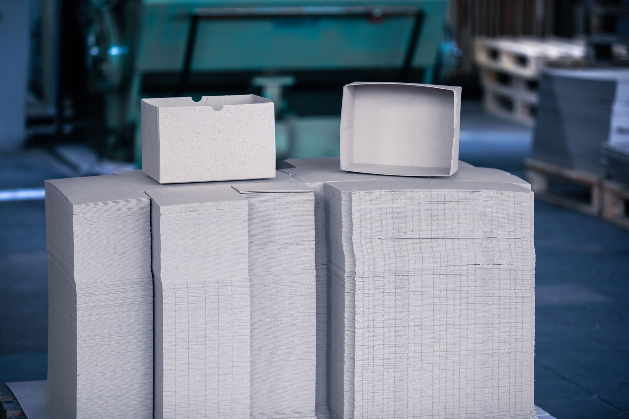 Pappenfabrik_Nierfeld_2025_#5297